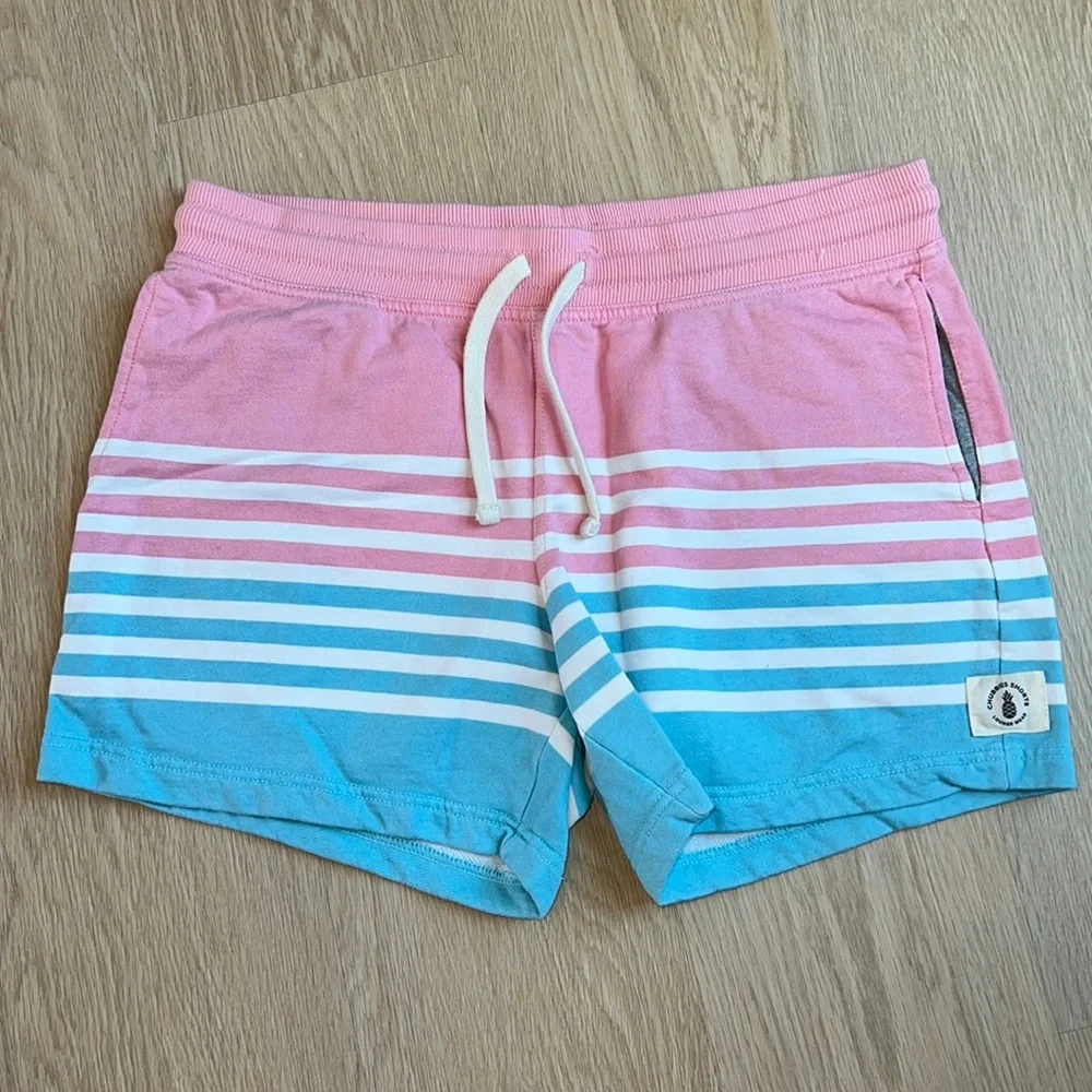 chubbies Pink and Blue Striped Men’s Shorts